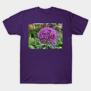 Allium flower T-Shirt